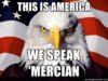 We-Speak-American.jpg