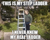 Step ladder.png