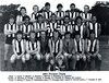 1981 Hamilton Football Club.jpg