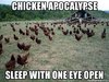 chicken-apocalypse-sleep-with-one-eye-open.jpg