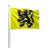 flag-of-flanders.10350.0.1580736245.100.jpg