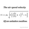 air speed velocity of an unladen swallow.jpg
