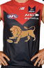 Melbourne Lions jumper.png