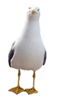 Seagull.png