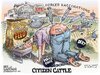 Citizen Cattle by Ben Garrison.jpg