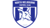 NMFC Custom Logo 2.png