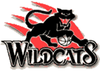 3171_perth__wildcats-primary-1985.png