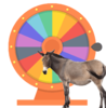spin-the-wheel.png