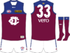 Fitzroy 2015 Away.png