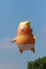 Donald-Trump-balloon-baby-7-490x735.jpg