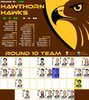 Carlton Men's Team (Round 10, 2021).jpg
