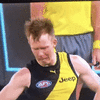 1626003181850.gif