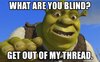 what-are-you-blind-get-out-of-my-thread (1).jpg