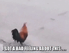 Chicken KFC - Bad Feeling.gif