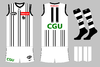 graphic_kit_afl_2022_coll_322_thirdpre.png