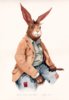Brer Rabbit.jpg