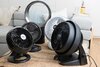 roomfans-lowres-9846.jpg