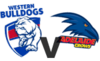 Bulldogs-vs-Adelaide.png