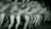 1628428690698.gif