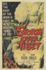 Storm Over Tibet.jpg