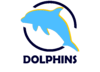 Newcastle Dolphins Logo.png