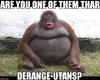1629247251668.png
