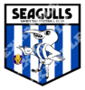TANFL_Sandy_Bay_Seagulls_EXAMPLE.png
