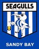 Retro Shield Sandy Bay Seagulls Tasmania.jpg