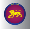 moe-lions-logo.png