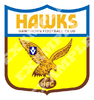 VFL_Hawthorn_1976_yellow_EXAMPLE.png