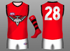 Essendon Clash.png
