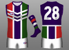 Fremantle Away.png