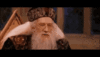 1631627132511.gif
