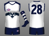 Geelong Clash.png