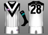 Port Adelaide Clash.png