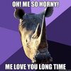 OH! ME SO HORNY! ME LOVE YOU LONG TIME - Sexually Oblivious Rhino -  quickmeme