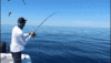 Fishing1.gif