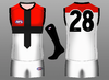 St Kilda Clash.png
