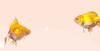 [w.pinterest.com] pin 838865868063613873 [e].gif