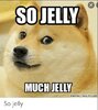 jelly.JPG