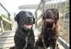 Screenshot_20211026-233604_Facebook.jpg