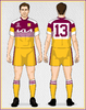 Brisbane Broncos 3-Jason-1991 Gold Shorts.png