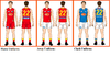 Gold Coast-Suns-HomeAway-Uniforms2021Back.png
