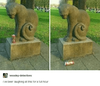1635975452079.png