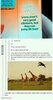 images (23).jpeg