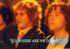 1637738848962.gif
