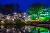 Chinese-Garden-Nature-Illuminated-Impression.jpg