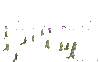 ezgif-2450630232.gif