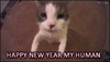 Animated Cat GIF _ HAPPY NEW YEAR to all kitties and cat lovers all over the World from 'ok-ca...gif
