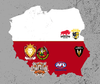 AFL Poland logos.png